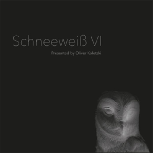 Diverse – Schneeweiß VI - Presented By Oliver Koletzki