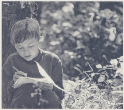 Motorama – Alps