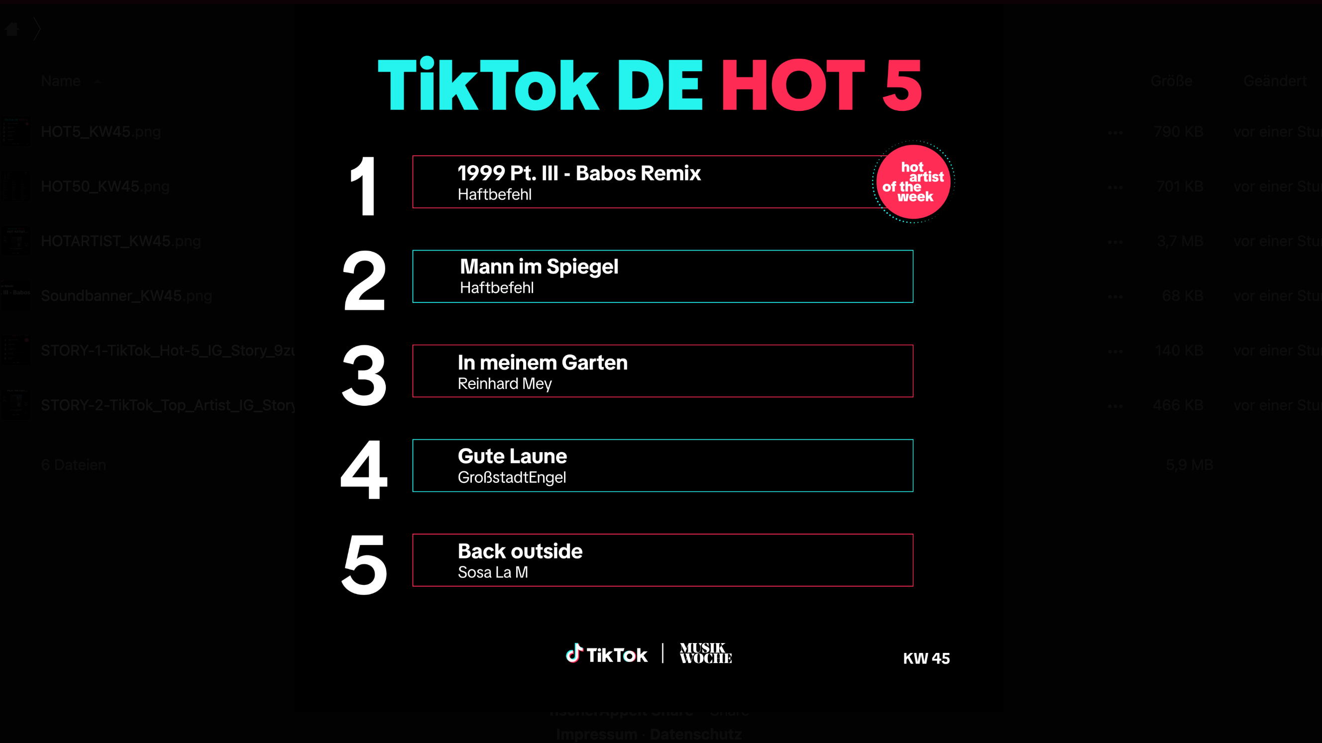 Kann sich die Pole Position sowie den Titel Hot Artist Of The Week sichern: Haftbefehl.