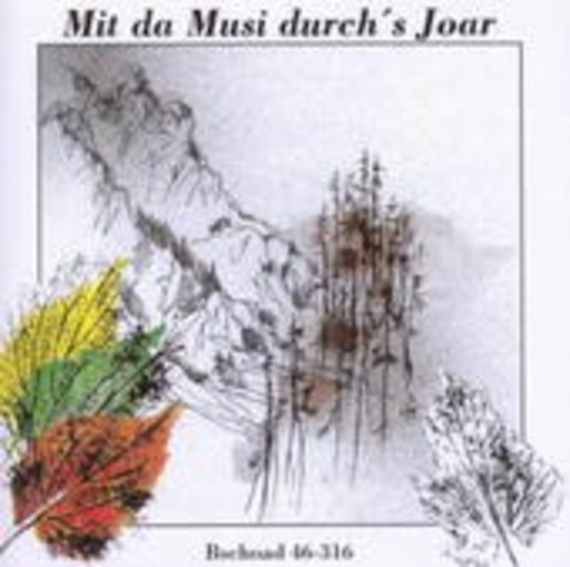 Goiserer Viergesang – Mit da Musi durchs Joar