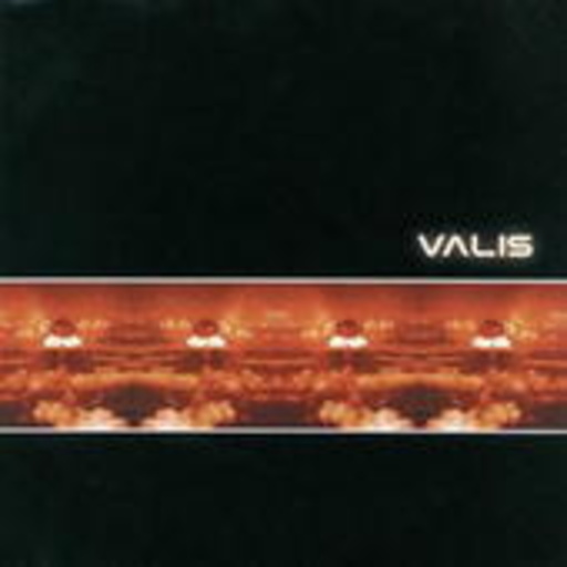 Valis – Vast Active Living Intelligence System
