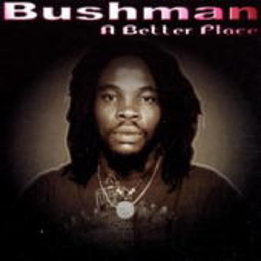 Bushman – A Better Place