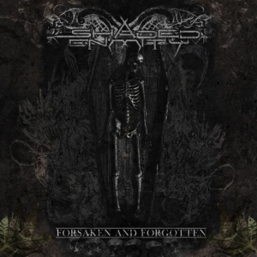 Shaded Enmity – Forsaken And Forgotten