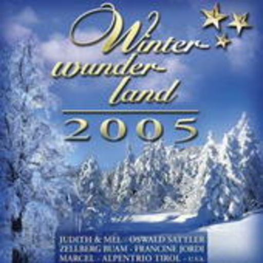 Diverse – Winterwunderland 2005