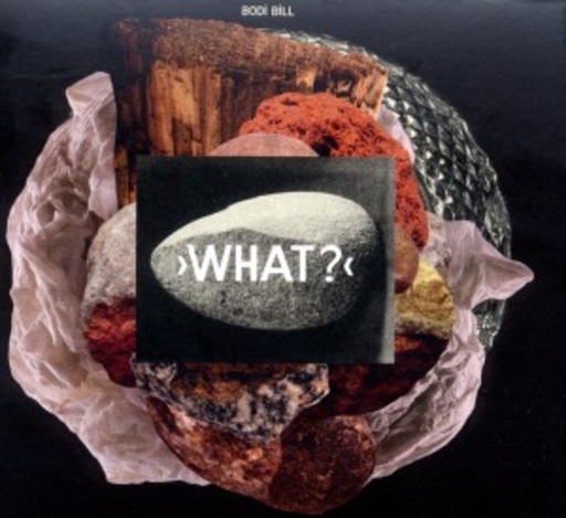Bodi Bill – What?
