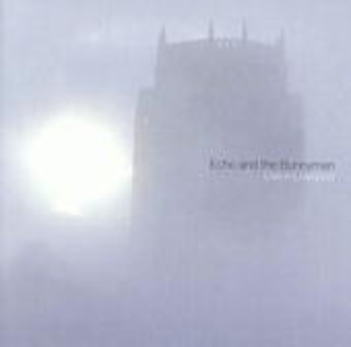 Echo And The Bunnymen – Live In Liverpool