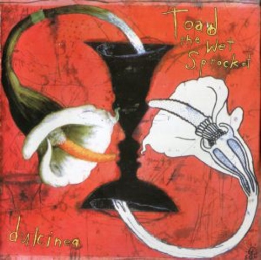 Toad The Wet Sprocket – Dulcinea
