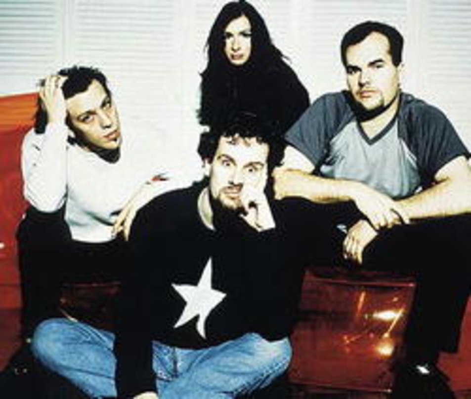 Verblüfft über Gold: Guano Apes