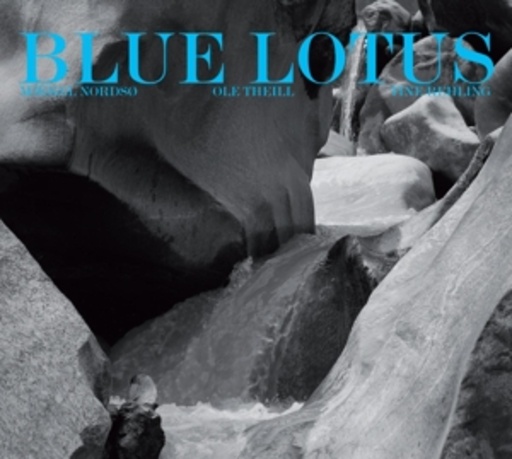 Mikkel Nordsö/Ole Theill/Tine Rehling – Blue Lotus