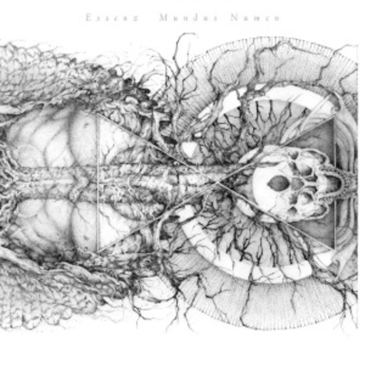 Essenz – Mundus Numen