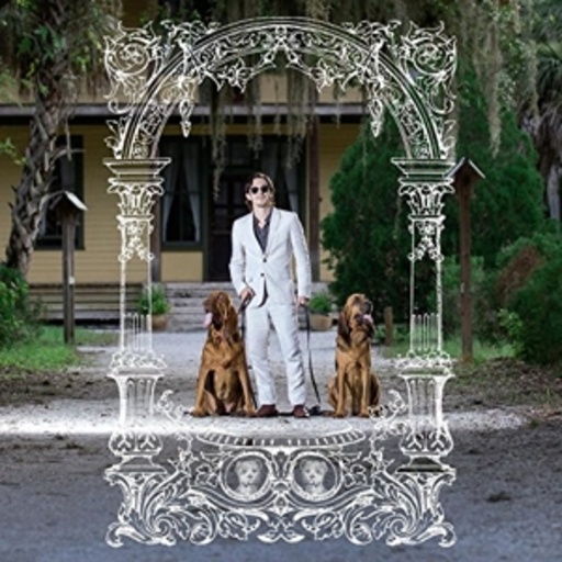 Pet Symmetry – Pets Hounds