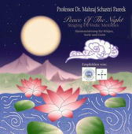 Professor Dr. Mahraj Pareek – Peace Of The Night