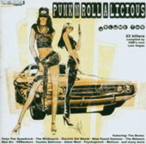 Diverse – Punk'N'Roll 2