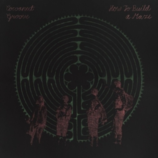 Cocoant Groove – How To Build A Maze