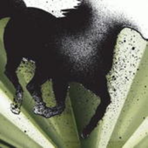 Achilles – The Dark Horse