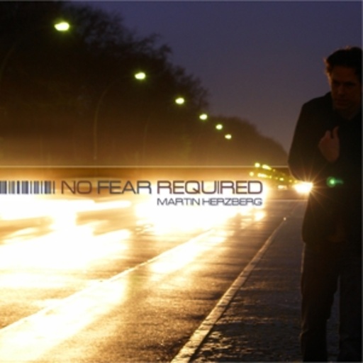 Martin Herzberg – No Fear Required