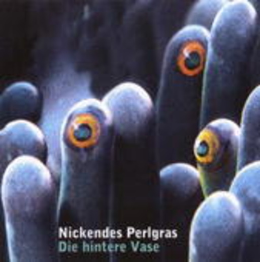 Nickendes Perlgras – Die hintere Vase