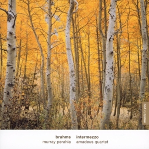 Murray Perahia – Intermezzo