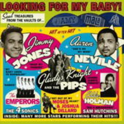 Diverse – Looking For My Baby!