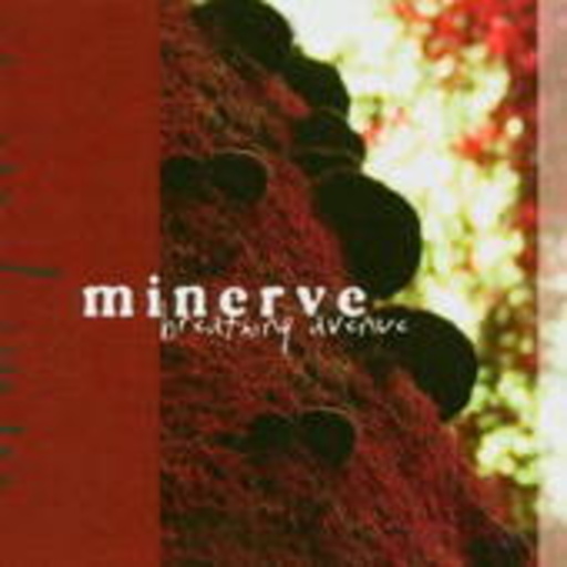 Minerve – Breathing Avenue
