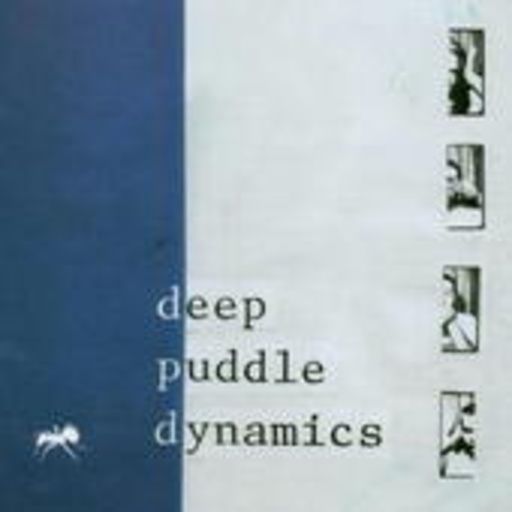 Deep Puddle Dynamics – The Taste Of Rain ... Why Kneel
