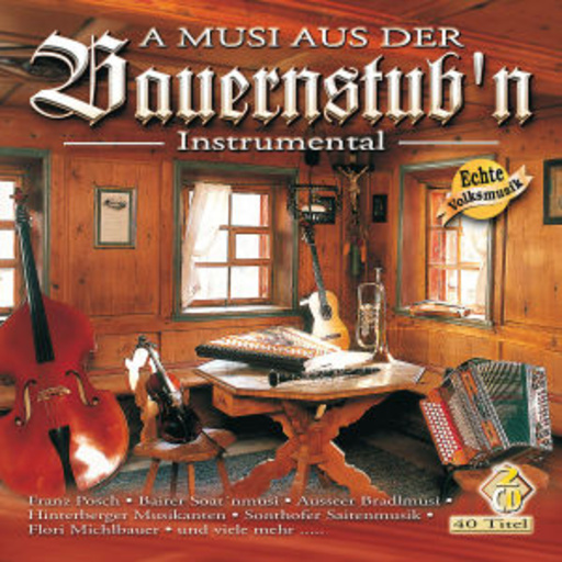 Diverse – A Musi aus der Bauernstub'n