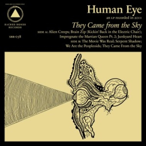 Human Eye – They Came From The Sky