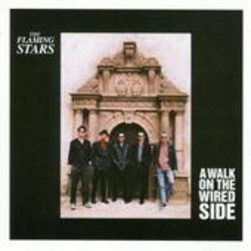 The Flaming Stars – A Walk On The Wired Side
