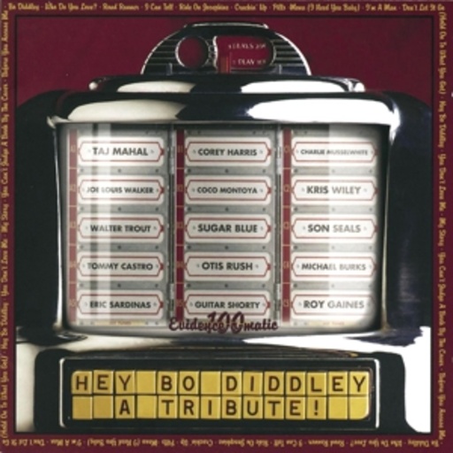 Diverse – Hey Bo Diddley - A Tribute!