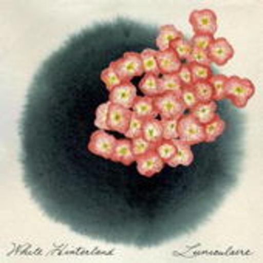 White Hinterland – Luniculaire EP