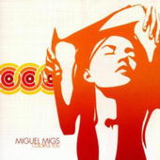 Miguel Migs – Colorful You