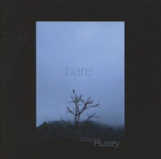 Wayne Hussey – Bare