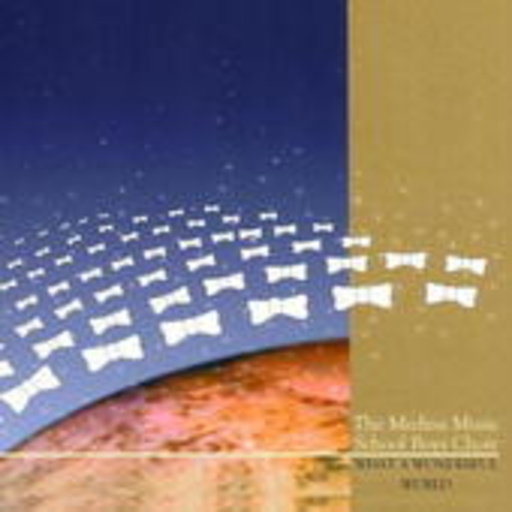 The Medina Music School Boys Choir – What A Wonderful World