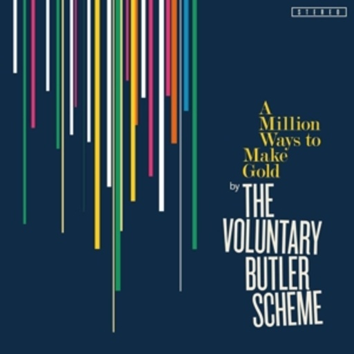 Voluntary Butler Scheme – A Million Ways To Make Gold