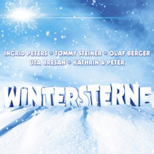 Diverse – Wintersterne