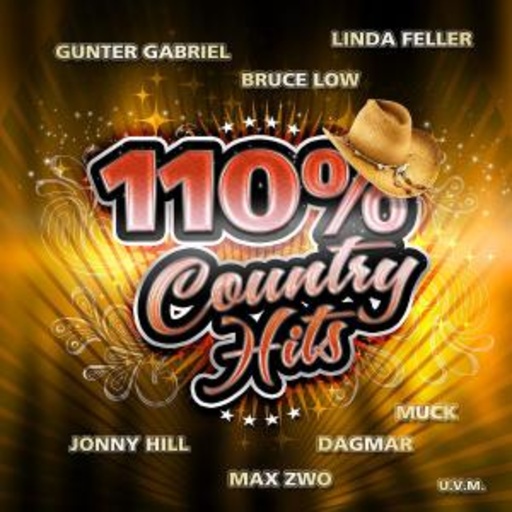 Diverse – 110% Country Hits
