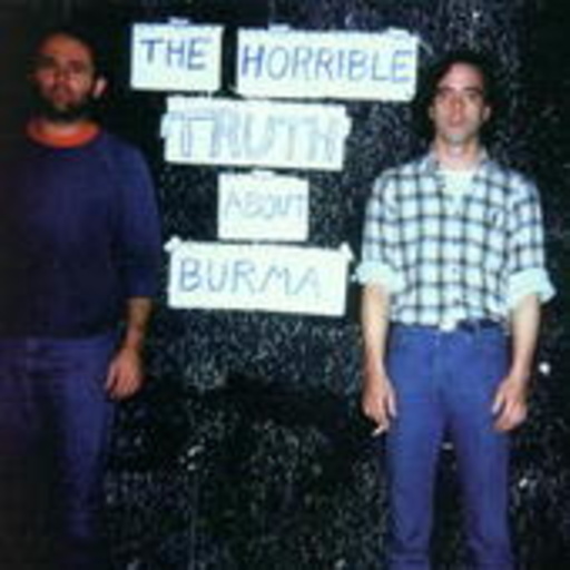 Mission Of Burma – The Horrible Truth About Burma