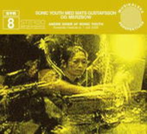 Sonic Youth With Mats Gustafsson & Merzbow – Andre Sider Af Sonic Youth