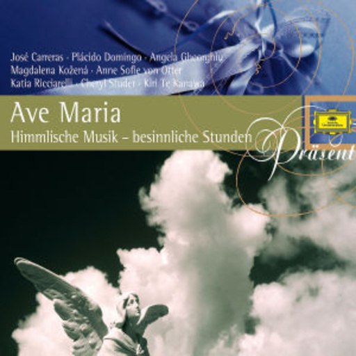 Diverse – Ave Maria: Himmlische Musik & Besinnliche Stunden (Präsent)