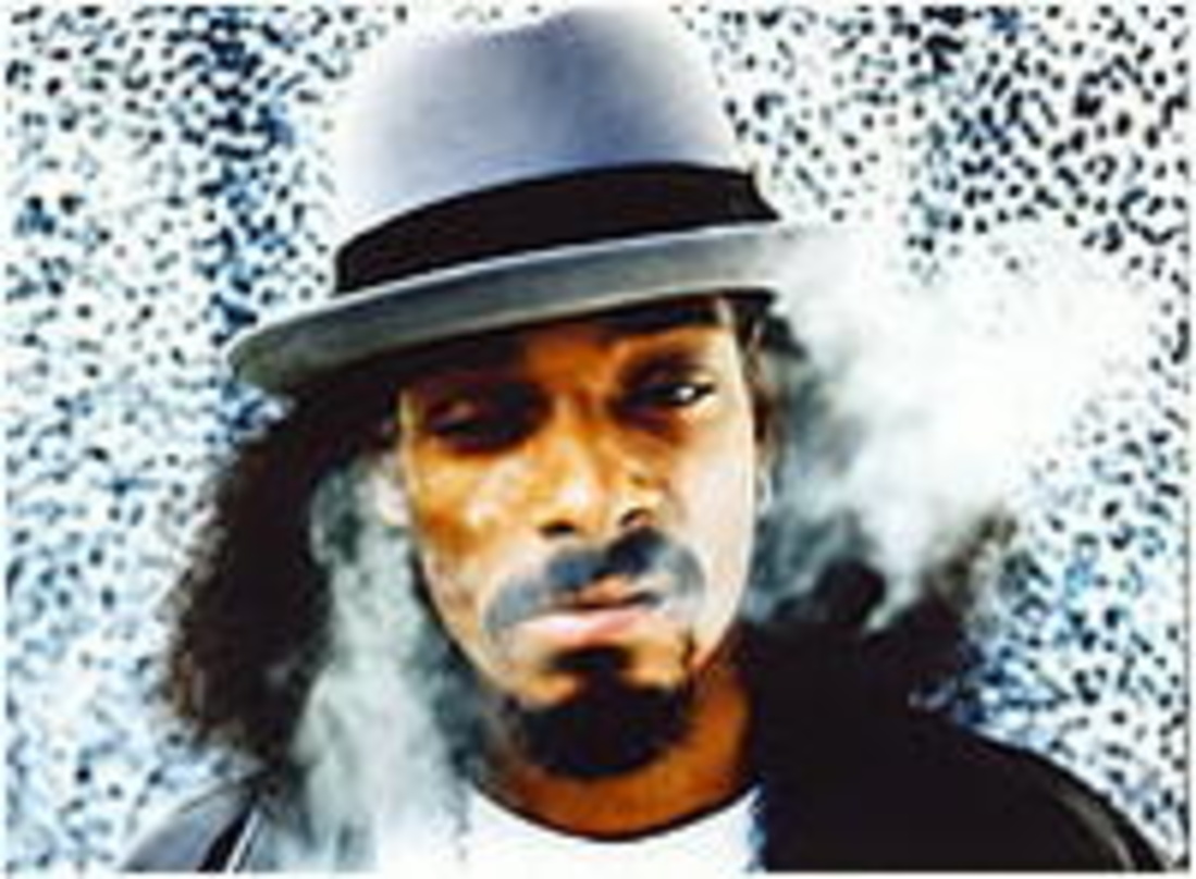 Televizzlet bald pointenreich bei MTV: Snoop Dogg