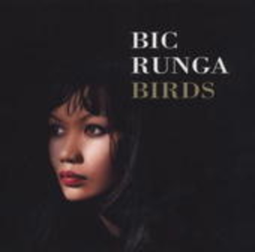 Bic Runga – Birds