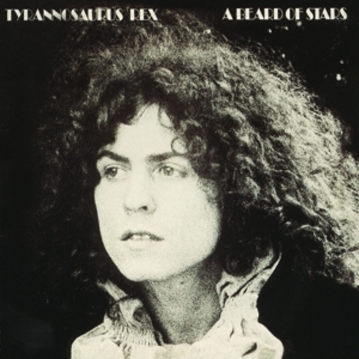 T. Rex – A Beard Of Stars