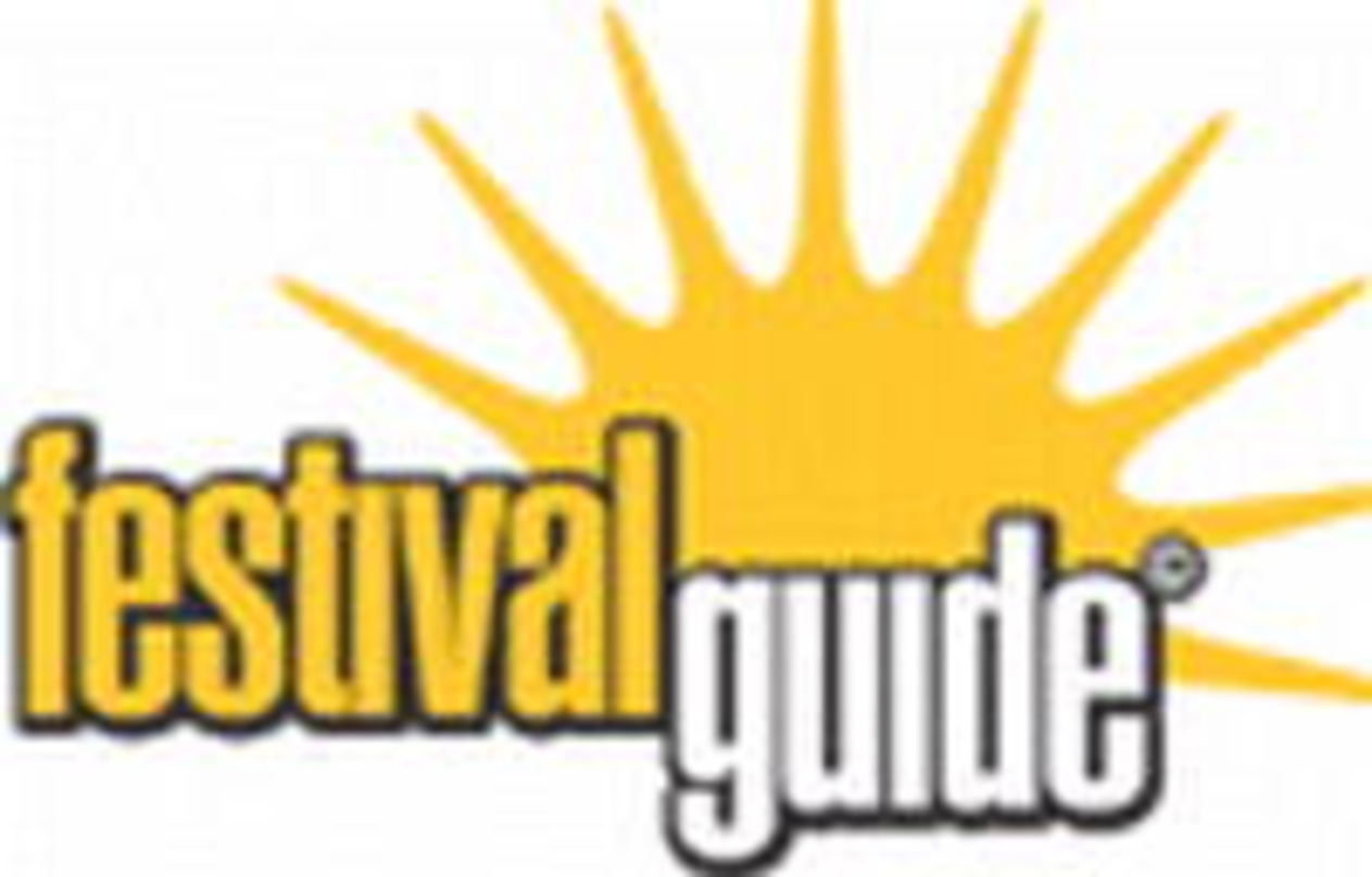 Gemeinsames Projekt von MTV und Intro: der "Festivalguide"
