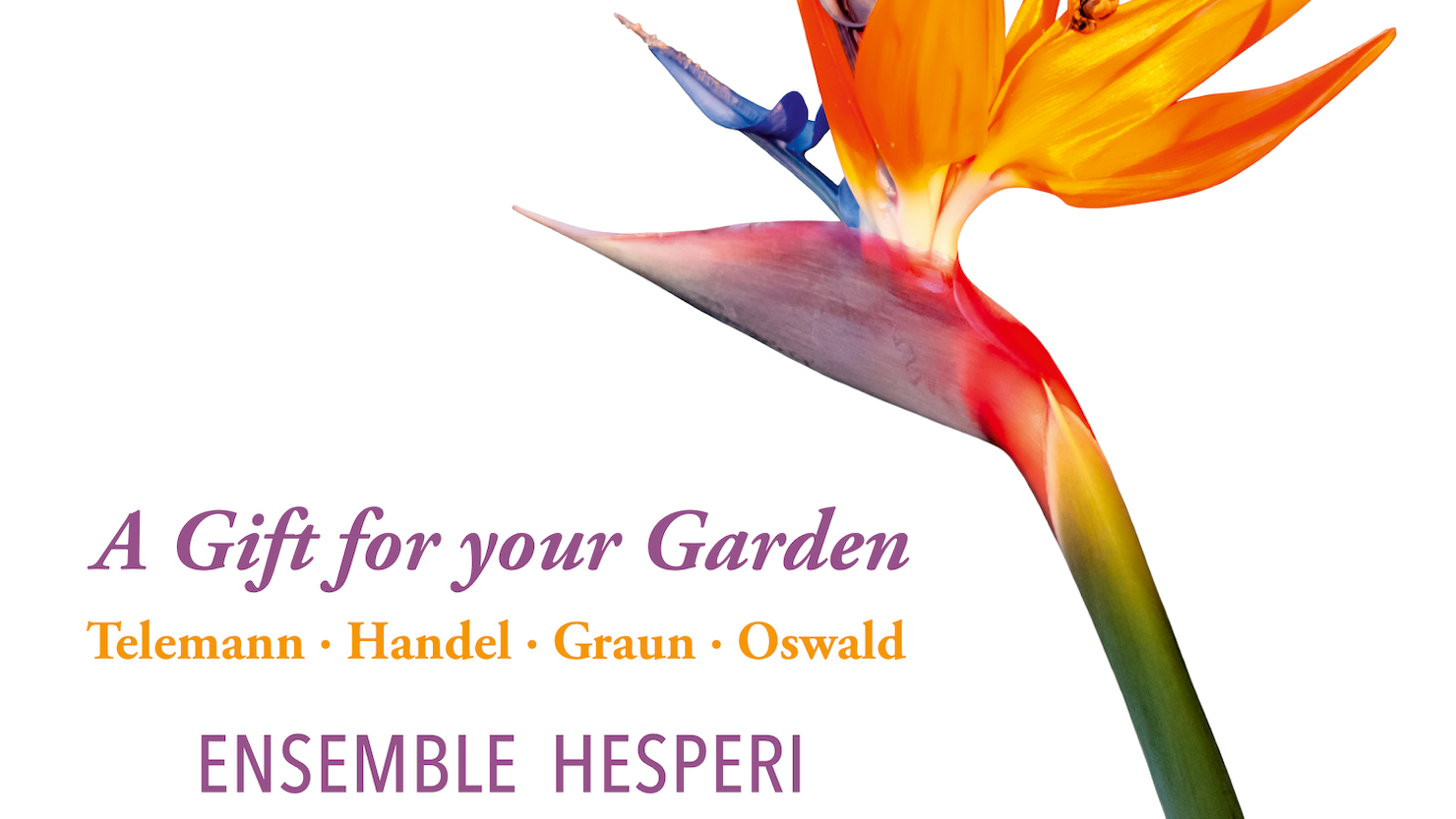 Kommt über Naxos in den Handel in Deutschland und Österreich: das Album "A Gift For Your Garden" des Ensemble Hesperi.