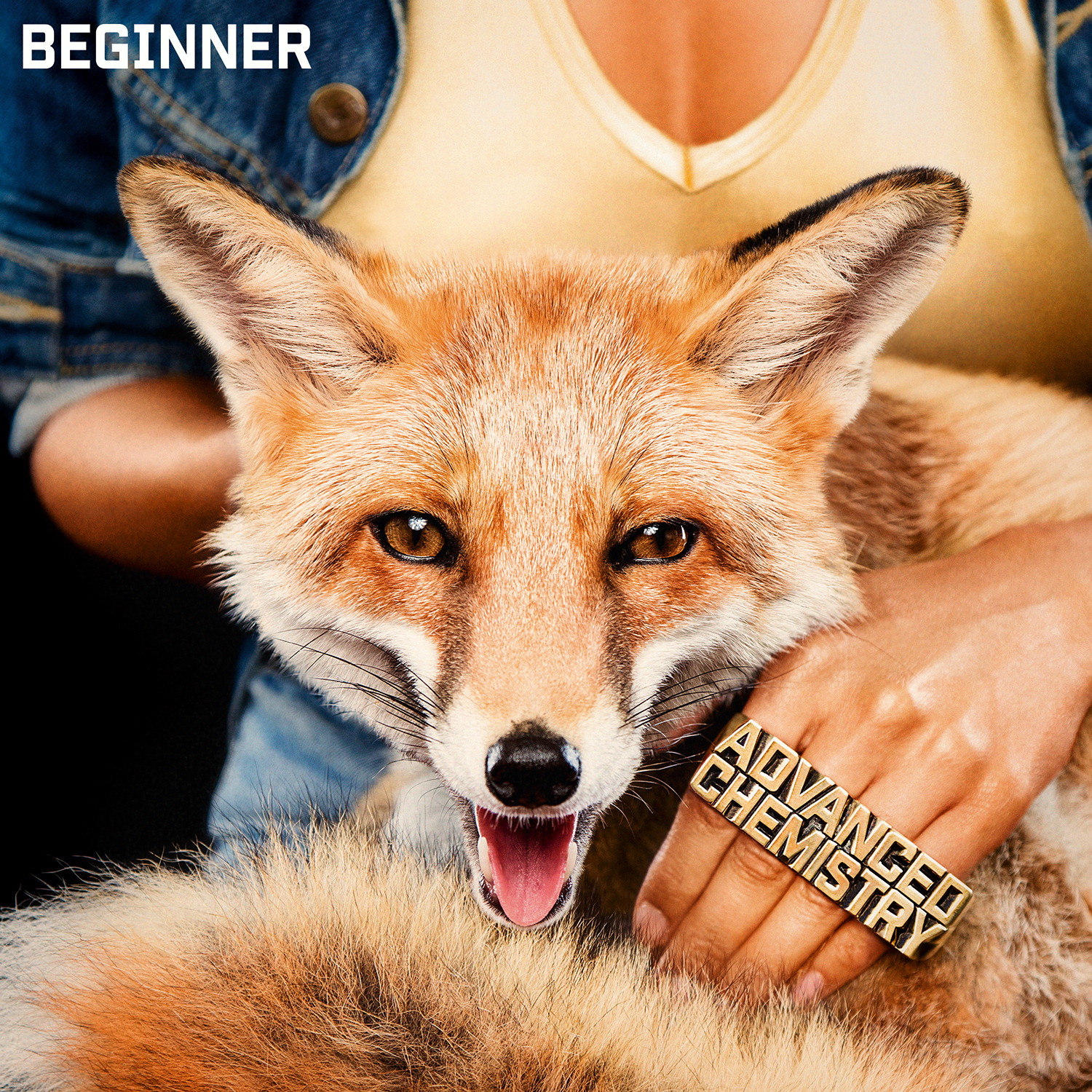 Beginner – Advanced Chemistry