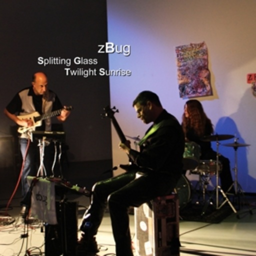 zBug – Splitting Glass/Twilight Sunrise