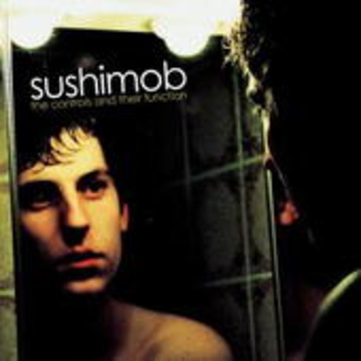Sushimob – The Controls And Their Function