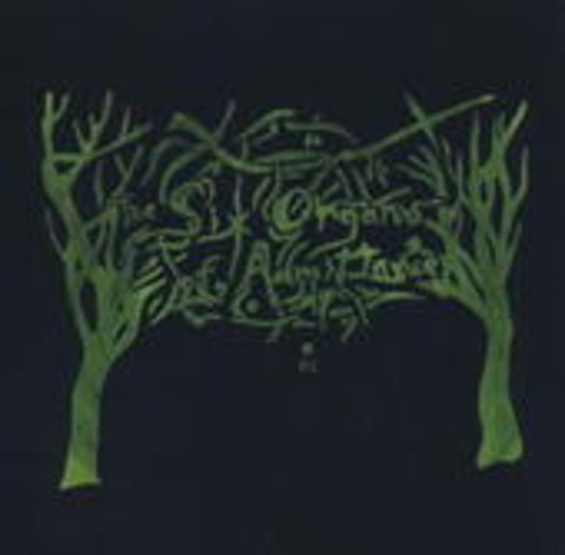 Six Organs Of Admittance – RTZ