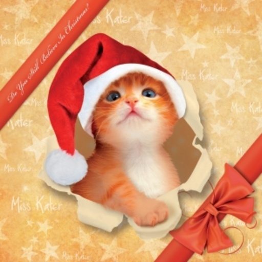 Diverse – Do You Still Belief In Christmas