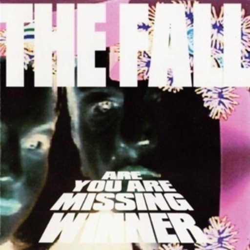 The Fall – Are You Are Missing Winner